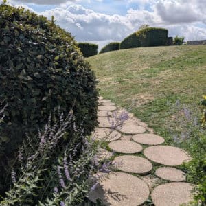 PXL_20250715_090815510.MP