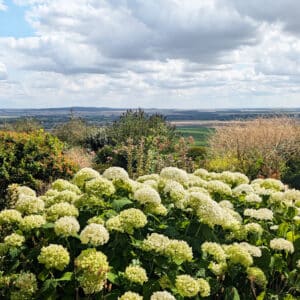 PXL_20250715_091038804.MP