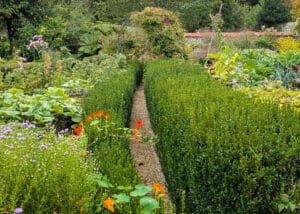 PXL_20250921_121139720