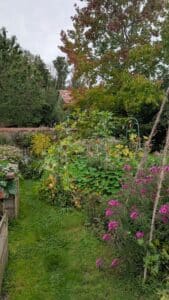 PXL_20250921_121646503