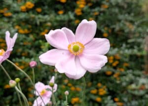 PXL_20250921_122316357