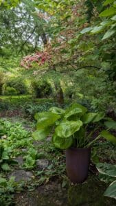 PXL_20250921_122344807