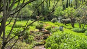 Jardin-de-leau-vive-1-OTPC