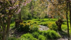 Jardin-de-leau-vive-2-OTPC